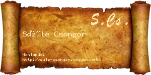 Süle Csongor névjegykártya